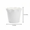Shera Plastic Flower Pot