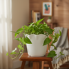 Shera Plastic Flower Pot