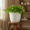 Sunny Plastic Planter Pot