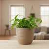 Verona 27 Plastic Planter Pot