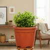 Grow Pro Plastic Planter Pot