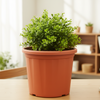 Grow Pro Plastic Planter Pot