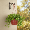 Orchid Chain Hanger Pot