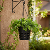 Orchid Chain Hanger Pot