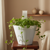 Shera White Plastic Hanger Pot