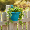Bello Hook Pot