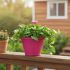 Bello Hook Pot