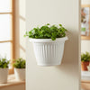 Bello Wall Plastic Planters