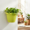 Bello Wall Plastic Planters