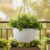 Capri Chain Hanging Plastic Bowl Pot