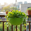 Capri Chain Hanging Plastic Bowl Pot
