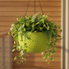 Capri Chain Hanging Plastic Bowl Pot
