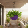 Capri Chain Hanging Plastic Bowl Pot