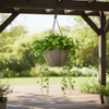 Victoria Hanging Basket Mocca Pot