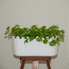 Classic White Fence Planter Pot