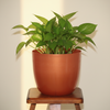 Classic Garden Planter Pot