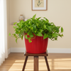 Bright Yellow Decorative Plant Pot