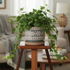 Terra Art Ceramic Pot