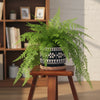 Terra Art Ceramic Pot
