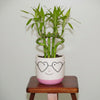 Googles Shades Ceramic Pot