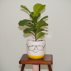 Googles Shades Ceramic Pot