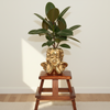 Golden Baby Ceramic Planter
