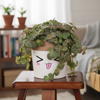 Funny Emoji Face Ceramic Pot