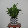 Check Mate Ceramic Pot