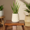 Modern Geometric Ceramic Planter Pot