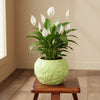 Flower Decorative Ceramic