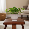 Vintage Style Ceramic Pot