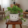 Decorative Textured White Ceramic Pot