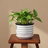 Decorative Textured White Ceramic Pot