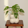 Pebble Bubble Ceramic Planter Pot