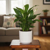 Soft Blush Vertical Ribbed Planter Pot