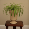 Vase Cup Ceramic Pot