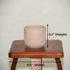 Blush Ribbed Ceramic Planter Pot