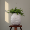 Pebble Bloom Ceramic Pot