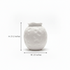 Pebble Bloom Ceramic Pot