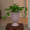 Vase Cup Ceramic Pot