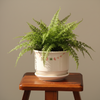 Decorative Textured White Ceramic Pot