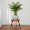 Orchid Ceramic Planter
