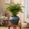 Orchid Ceramic Planter