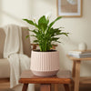 Modern Ringed Ceramic Planter Pot