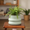 Luna Bubble Ceramic Planter Pot