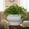 Luna Fluted Ceramic Pedestal Planter Pot