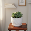Decorative Ceramic Pot