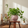 Aura Decorative Ceramic Pot