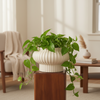 Aurora Ribbed Ceramic Planter Pot