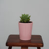 Cylindrical Ceramic Pot